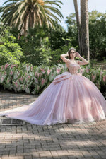 Darlene | Gorgeous Light Pink Quinceanera Dresses with Bow - Elegant & Charming - Light Pink - PromDressClub
