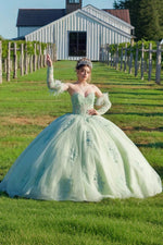 Iris | Stunning Light Green Long Sleeve Quinceanera Dresses for Your Special Day - Light Green - PromDressClub