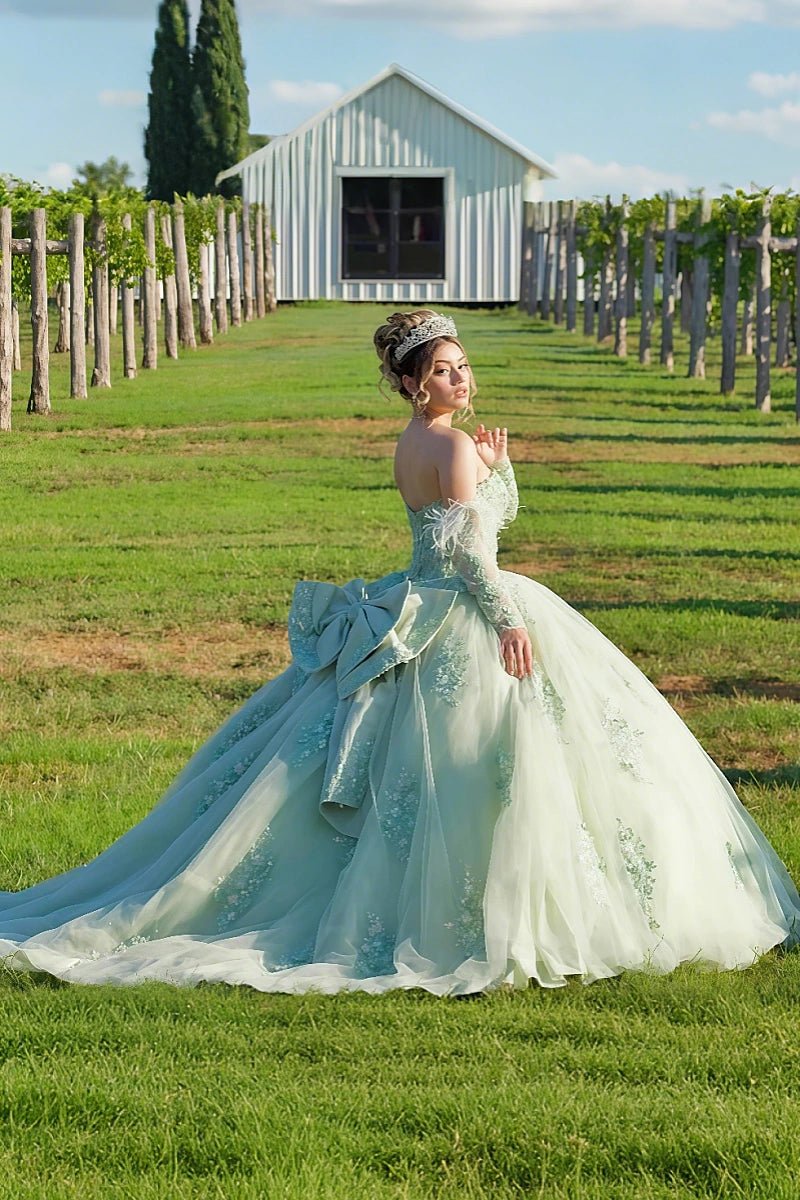 Iris | Stunning Light Green Long Sleeve Quinceanera Dresses for Your Special Day - Light Green - PromDressClub
